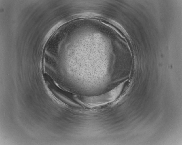 X0000080200946200612221402