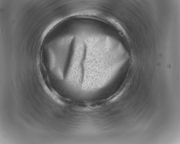 X0000080200952200612221402