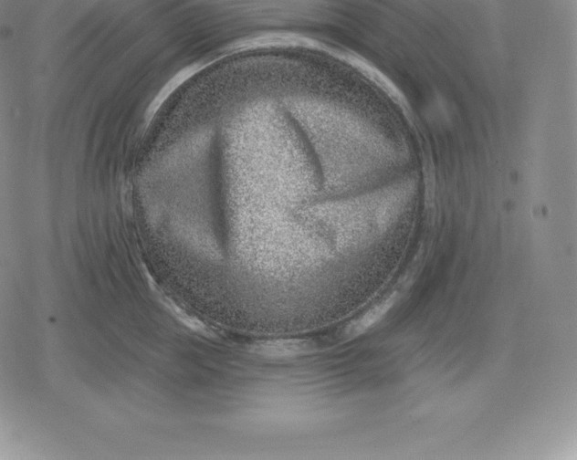 X0000080200953200612221402