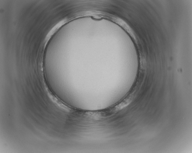 X0000080200954200612221402