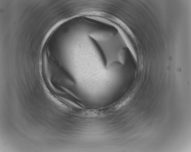 X0000080200955200612221402