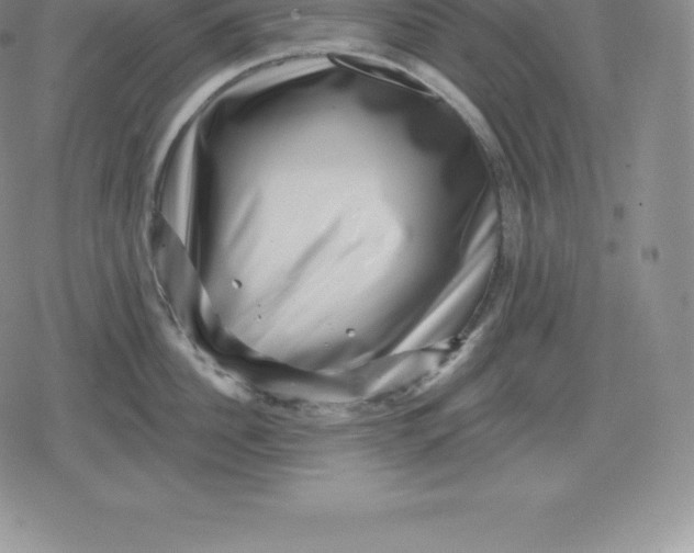 X0000080200956200612221402