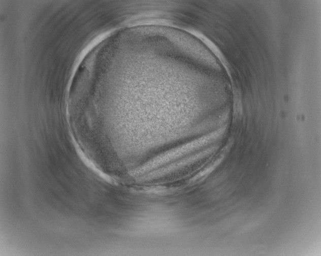 X0000080200957200612221402