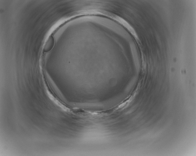 X0000080200958200612221402