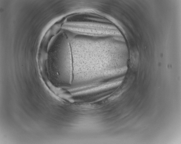 X0000080200959200612221402