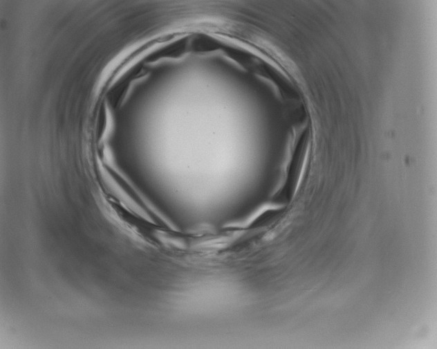 X0000080200960200612221402