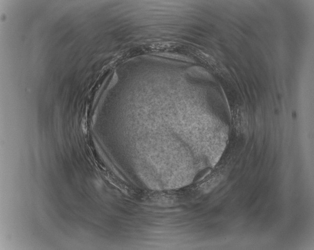 X0000080200962200612221401