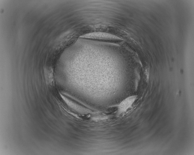 X0000080200963200612221401