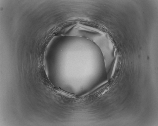 X0000080200965200612221401