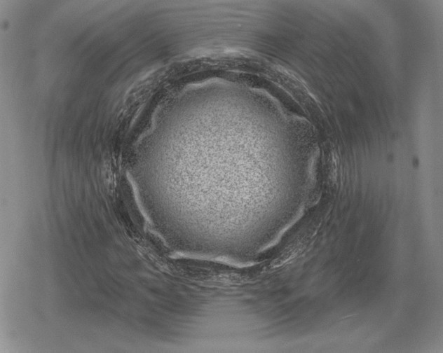 X0000080200966200612221401