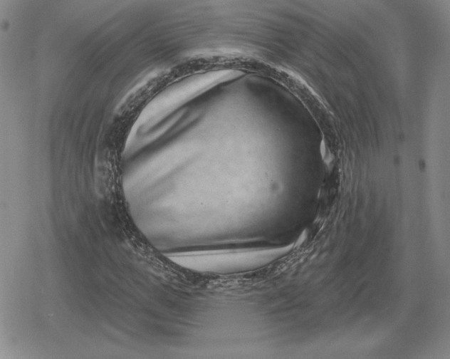 X0000080200967200612221401