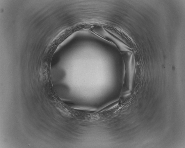 X0000080200968200612221401