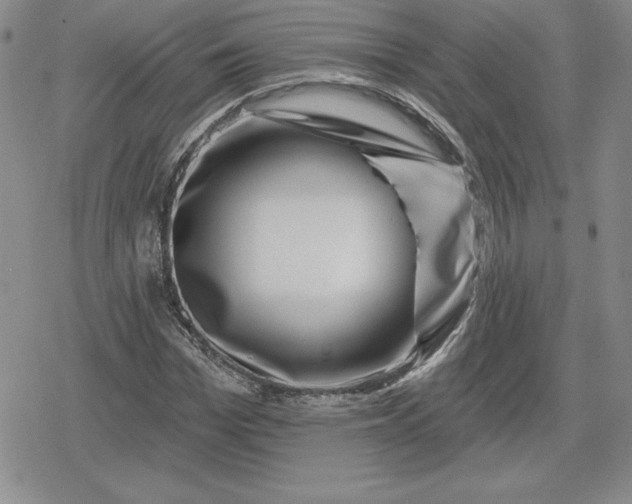 X0000080200969200612221401