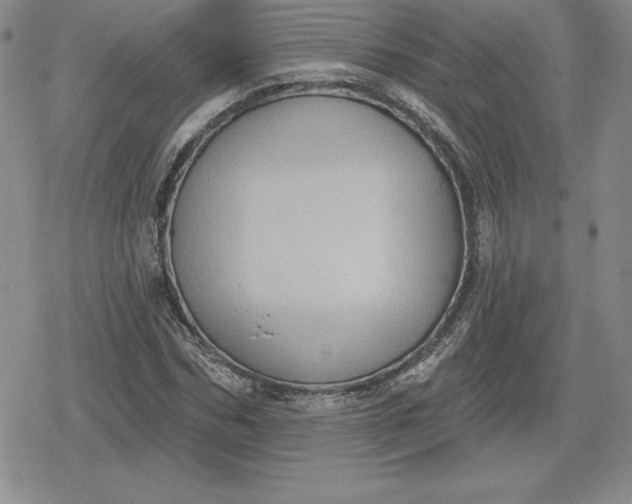 X0000080200970200612221401