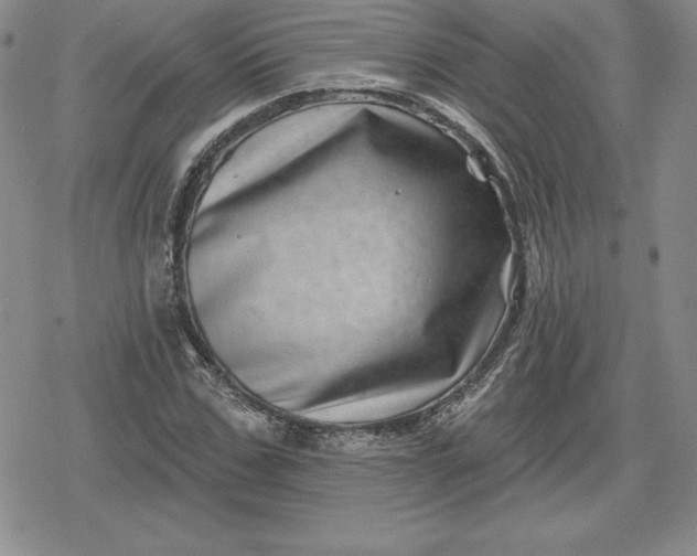 X0000080200971200612221401