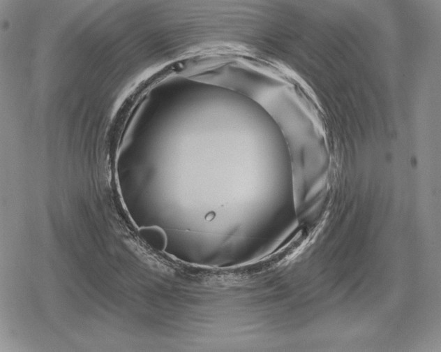 X0000080200973200612221401