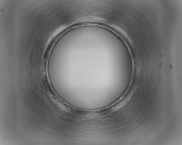 X0000080200974200612221401