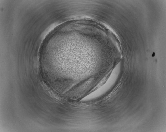 X0000080200975200612221401