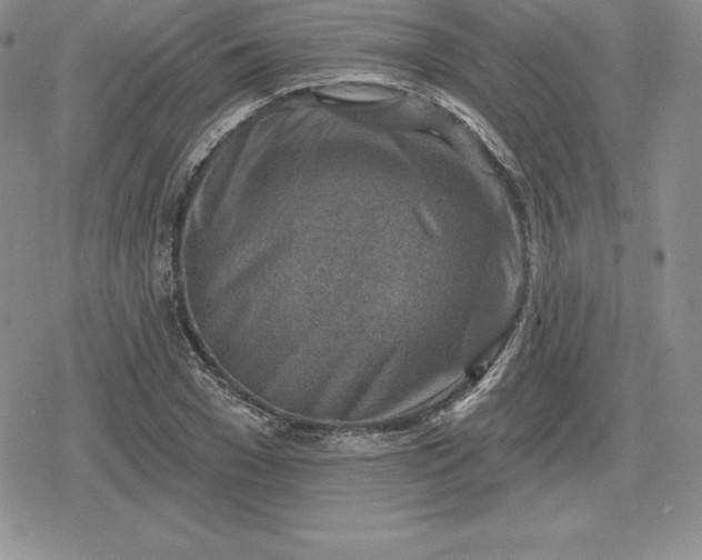 X0000080200977200612221401