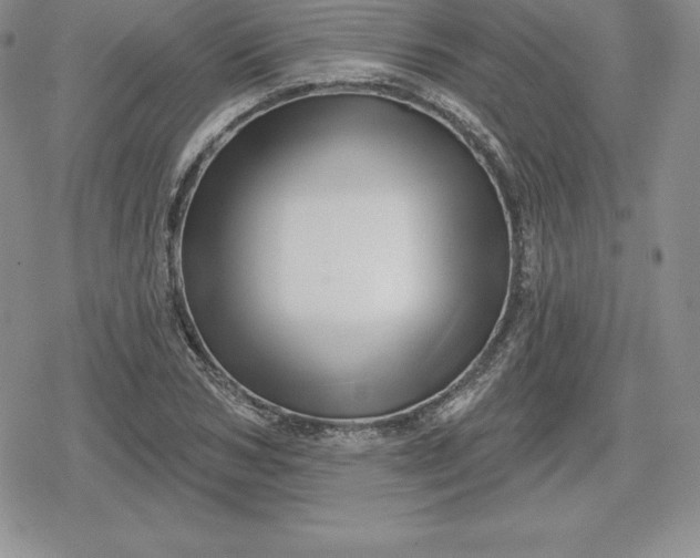 X0000080200978200612221401