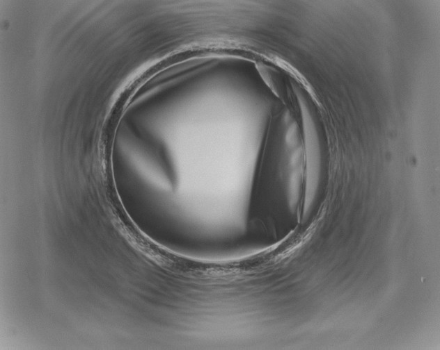 X0000080200981200612221401