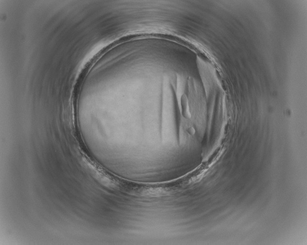 X0000080200982200612221401