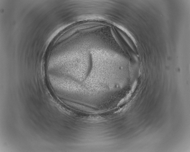 X0000080200983200612221401