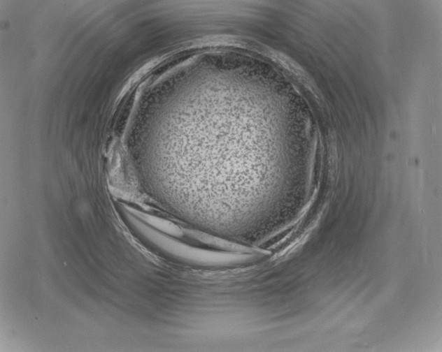 X0000080200985200612221401