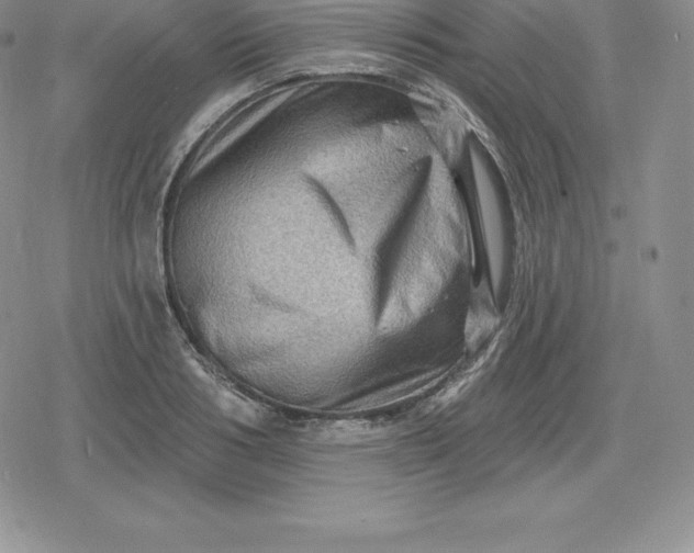 X0000080200986200612221401