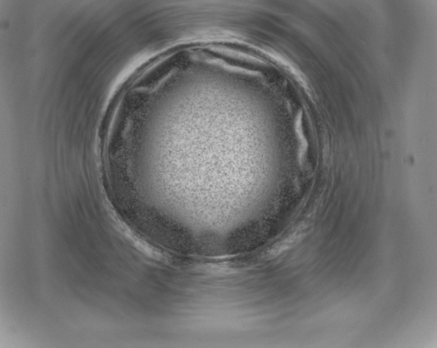 X0000080200990200612221401