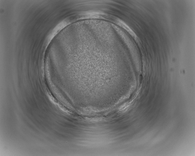 X0000080200994200612221401