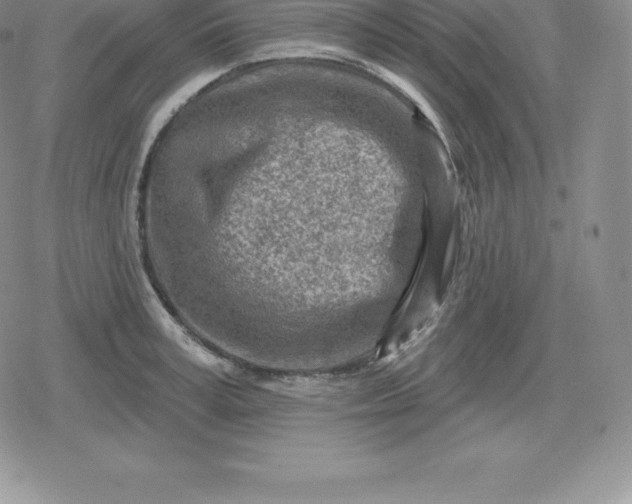 X0000080200995200612221401