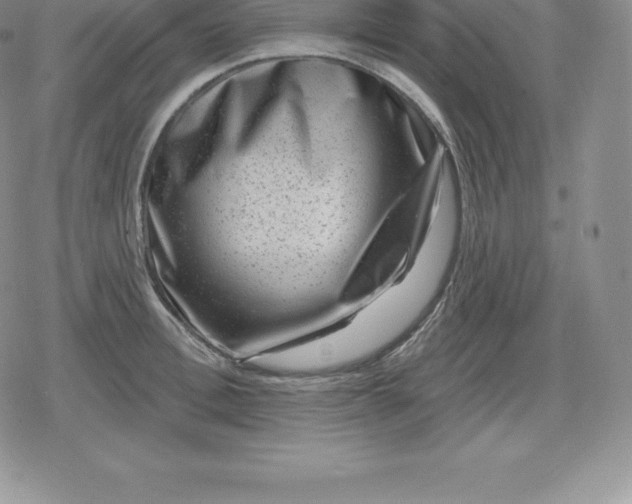 X0000080200996200612221401