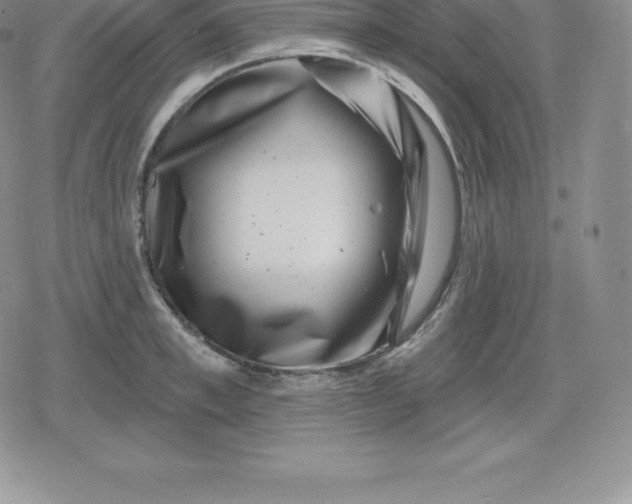 X0000080200997200612221401