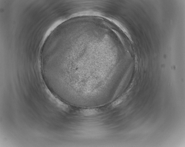 X0000080200998200612221401