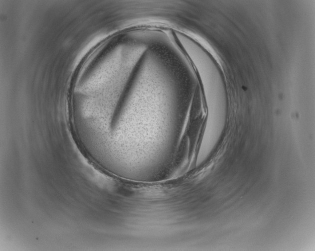 X0000080200999200612221401