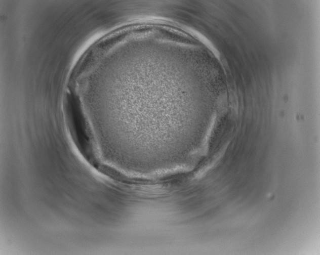 X0000080201007200612221401