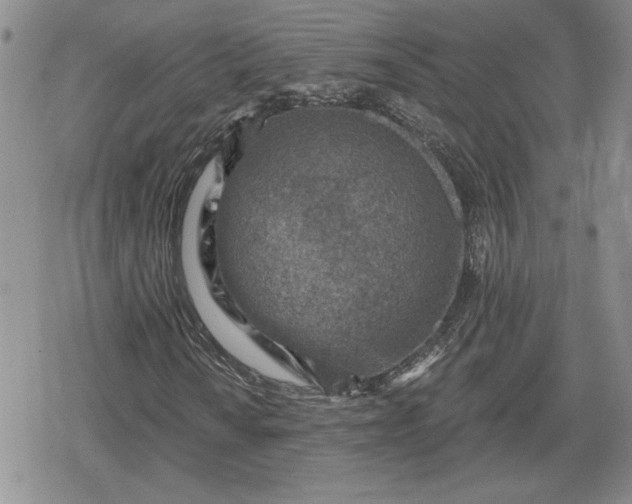 X0000080201010200612221400