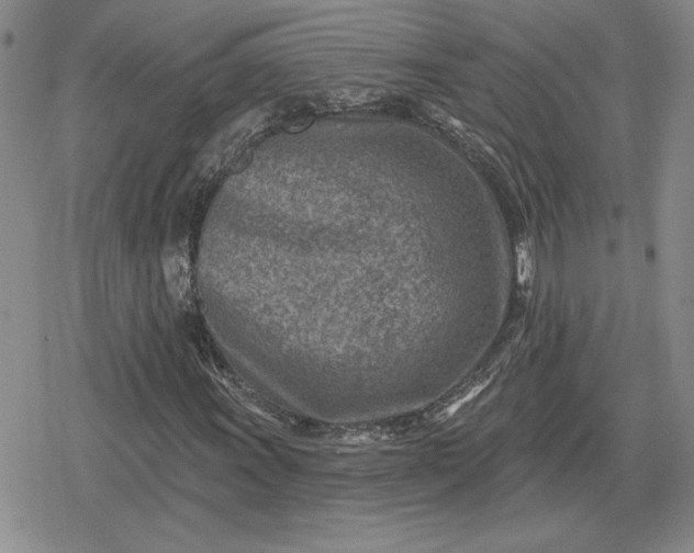 X0000080201011200612221400