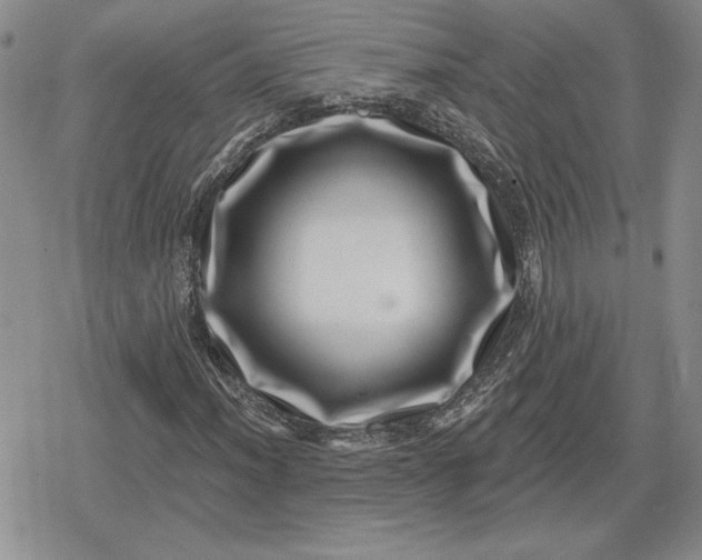 X0000080201012200612221400