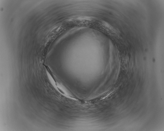 X0000080201013200612221400