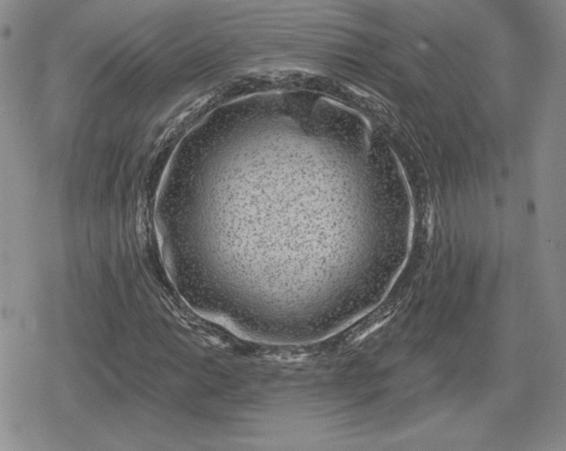 X0000080201014200612221400