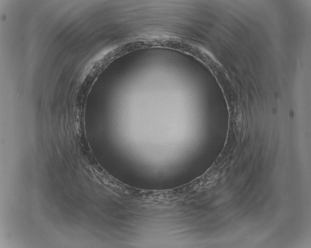 X0000080201016200612221400