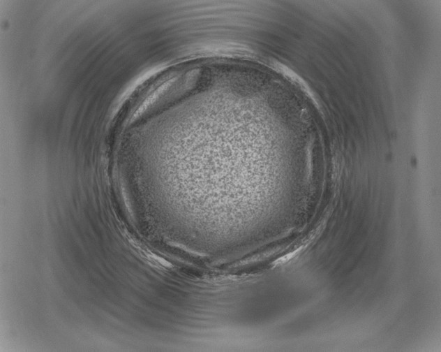 X0000080201019200612221400