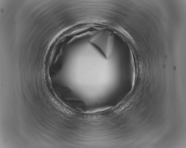 X0000080201020200612221400