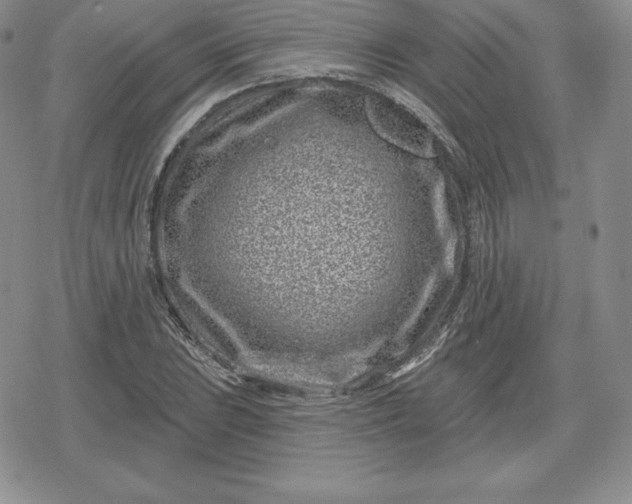 X0000080201023200612221400