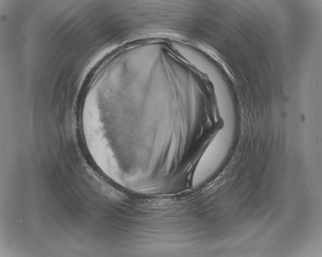 X0000080201024200612221400