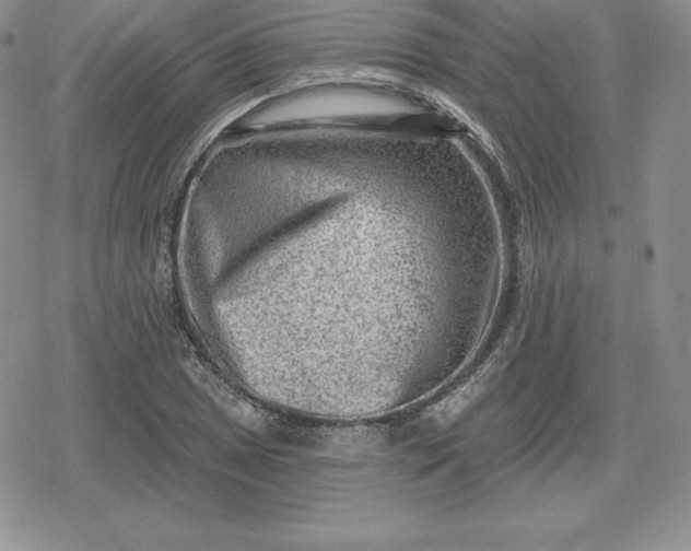 X0000080201025200612221400