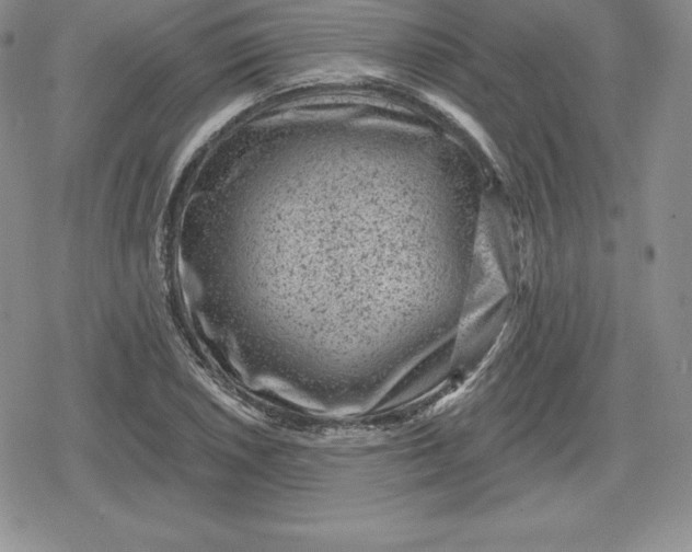 X0000080201026200612221400