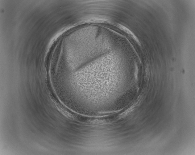 X0000080201027200612221400